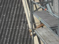 DSCF1480 (Medium).JPG