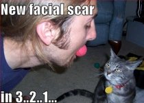 new-facial-scar-in-3..2..1....jpg