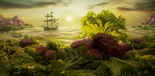 Carl Warner - Lettuce-Seascape2.jpg