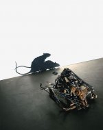 Tim Noble-Sue Webster - metal fucking rats.jpg