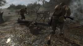 cod2pic3.jpg