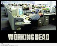 the-working-dead-16641.jpg