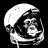 Space Monkey