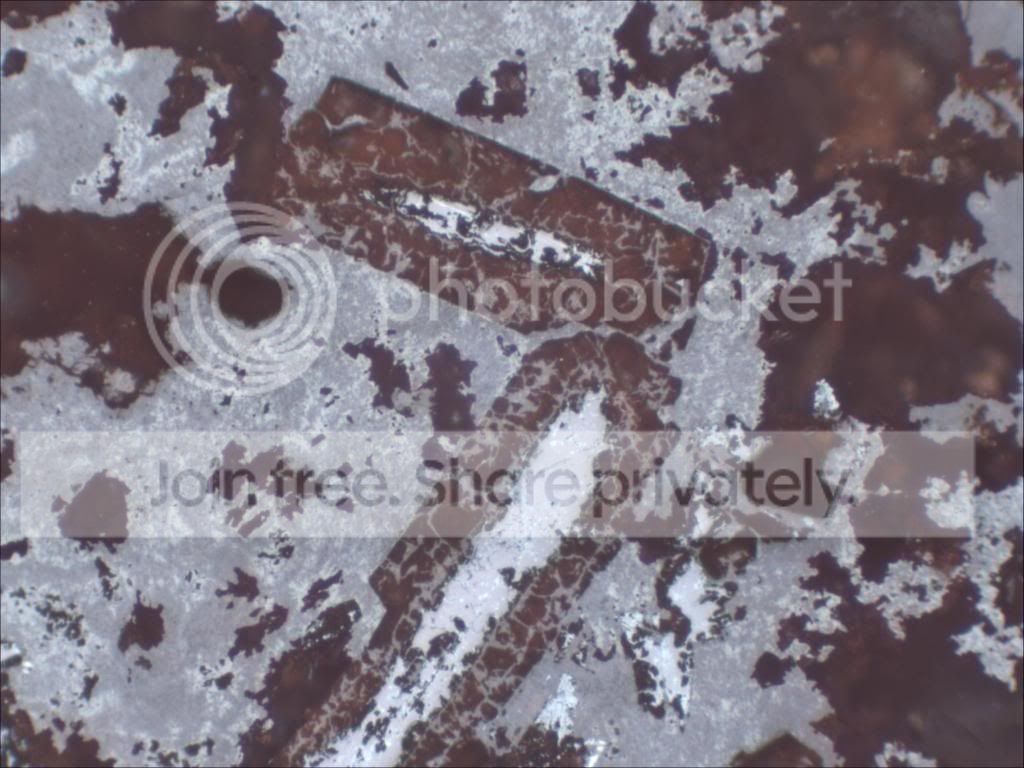 JS_Elba_83_03_zps74067b57.jpg