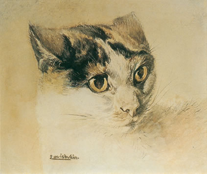 Wain_Cat_%28realistic%29.jpg