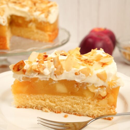 Apfelkuchen-01-500x500.jpg