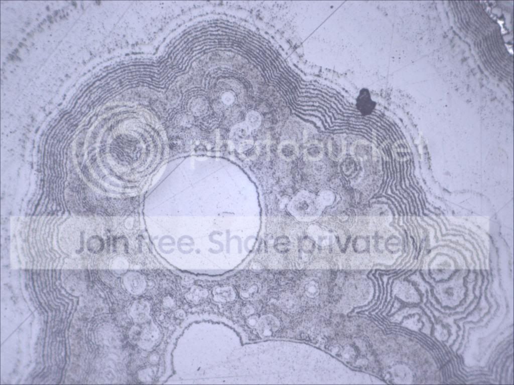 JSt22_zps179bc880.jpg