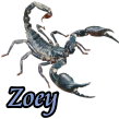 zoeyd4sg0.png